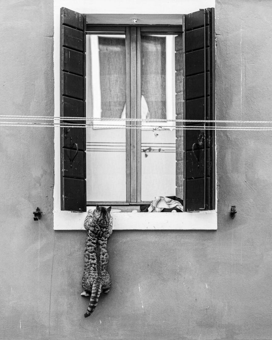 Uh... That Was Close!