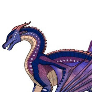 riley-omadadhain avatar