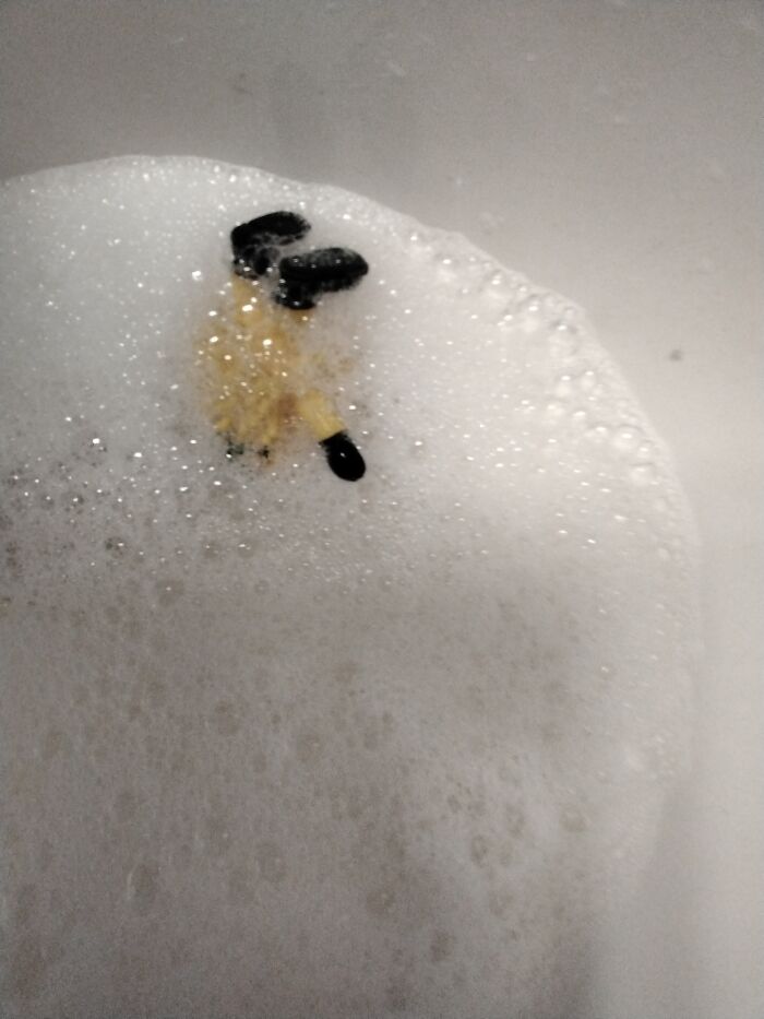 I Bought This Thing For My Friend And She Calls It, Her 'Child.'