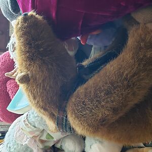 magdalenabedernik avatar