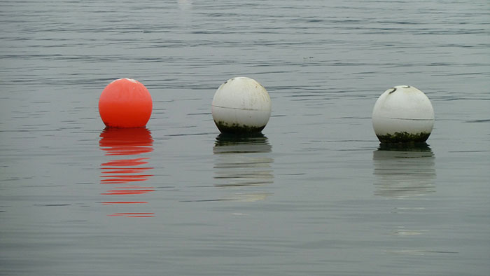 Person Online Asks Deep Sea Divers To Share The Most Horrifying Experiences Underwater, 26 Folks Deliver