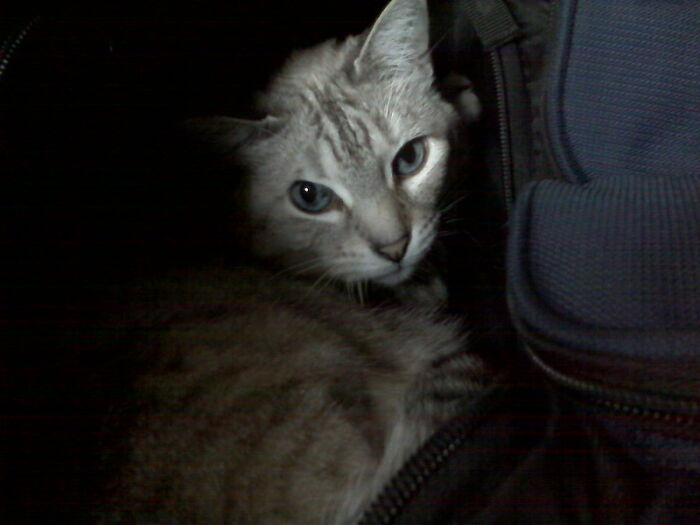 Someone In This Online Group Asked “Teachers, What Was The Worst Thing You Had To Confiscate From A Student?”, 30 Folks Delivered