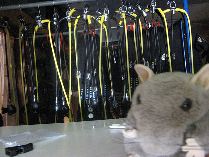 Person Online Asks Deep Sea Divers To Share The Most Horrifying Experiences Underwater, 26 Folks Deliver