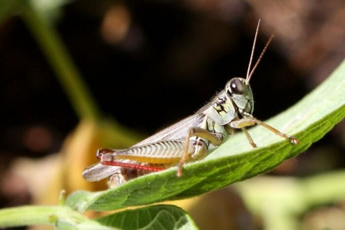 Someone In This Online Group Asked “Teachers, What Was The Worst Thing You Had To Confiscate From A Student?”, 30 Folks Delivered