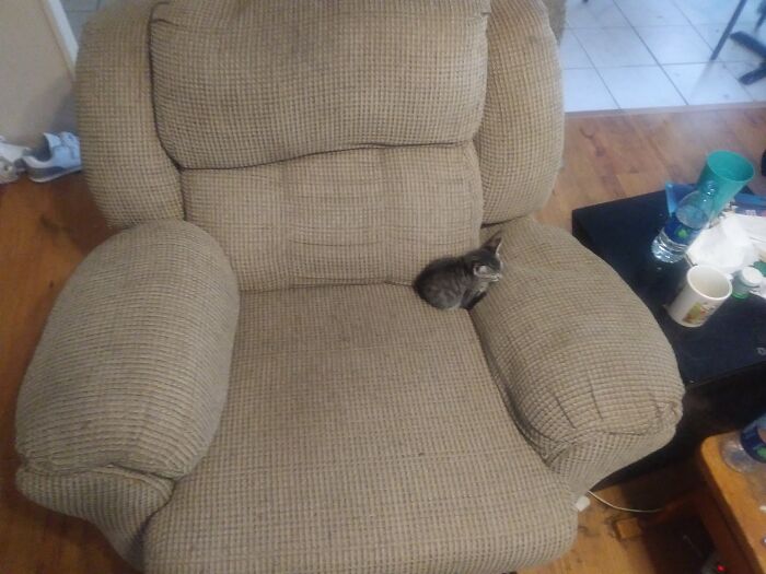 Im Just A Little Guy