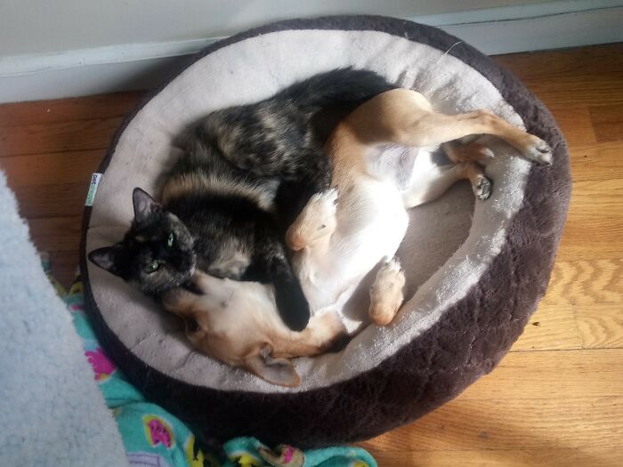 Baby And Her Best Friend