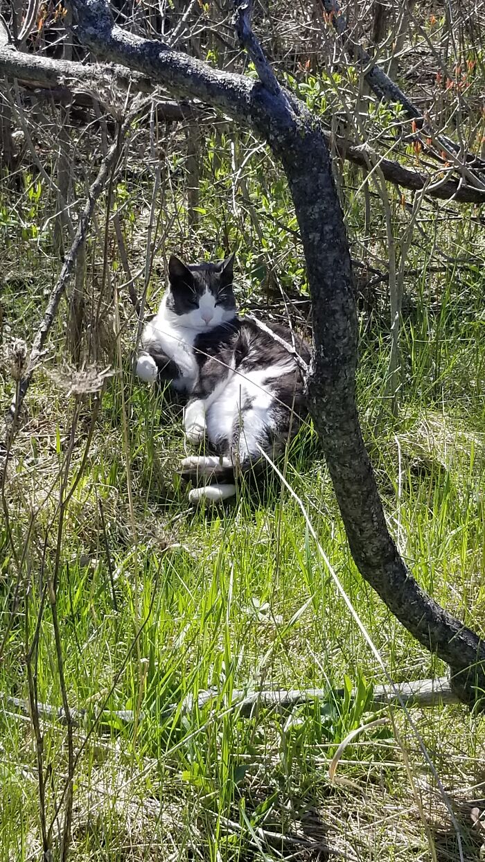 I'm Just Gonna Chill Right Here