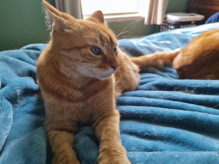 Remy The Isle Of Man