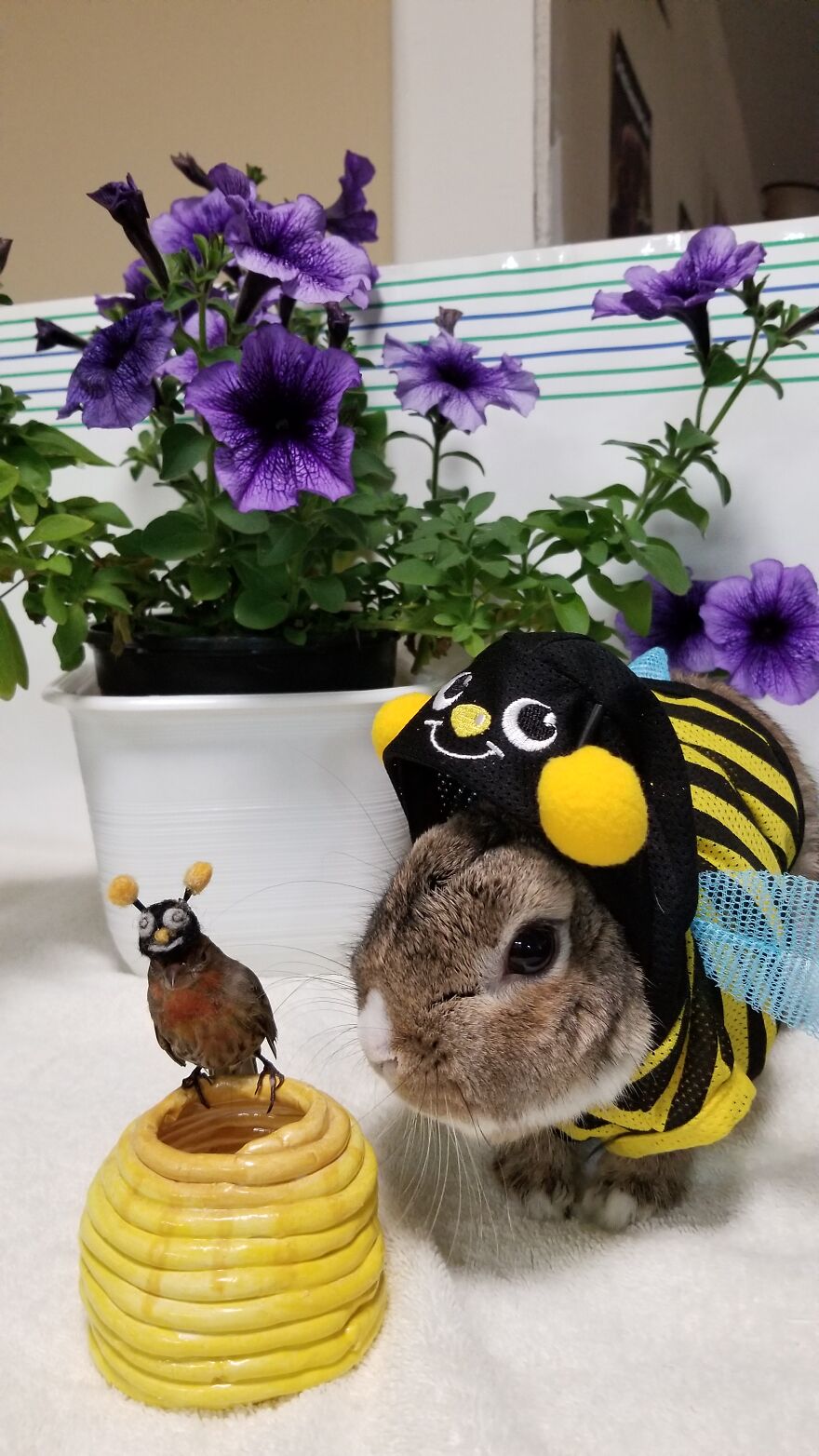 Dot And Sticky's Daily Photos