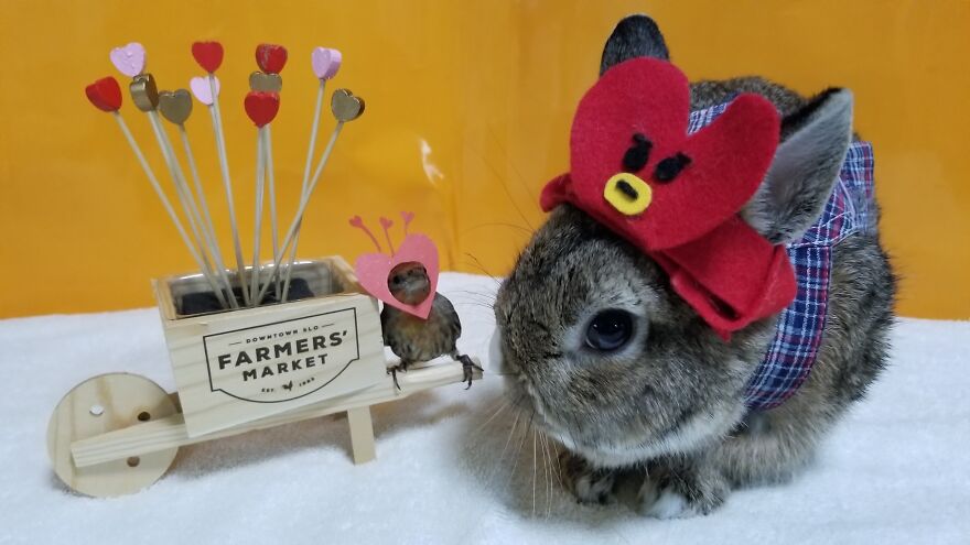 Everyday Is Valentine's Day