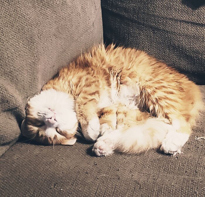 I Already Posted Beau Once But I Couldn't Resist