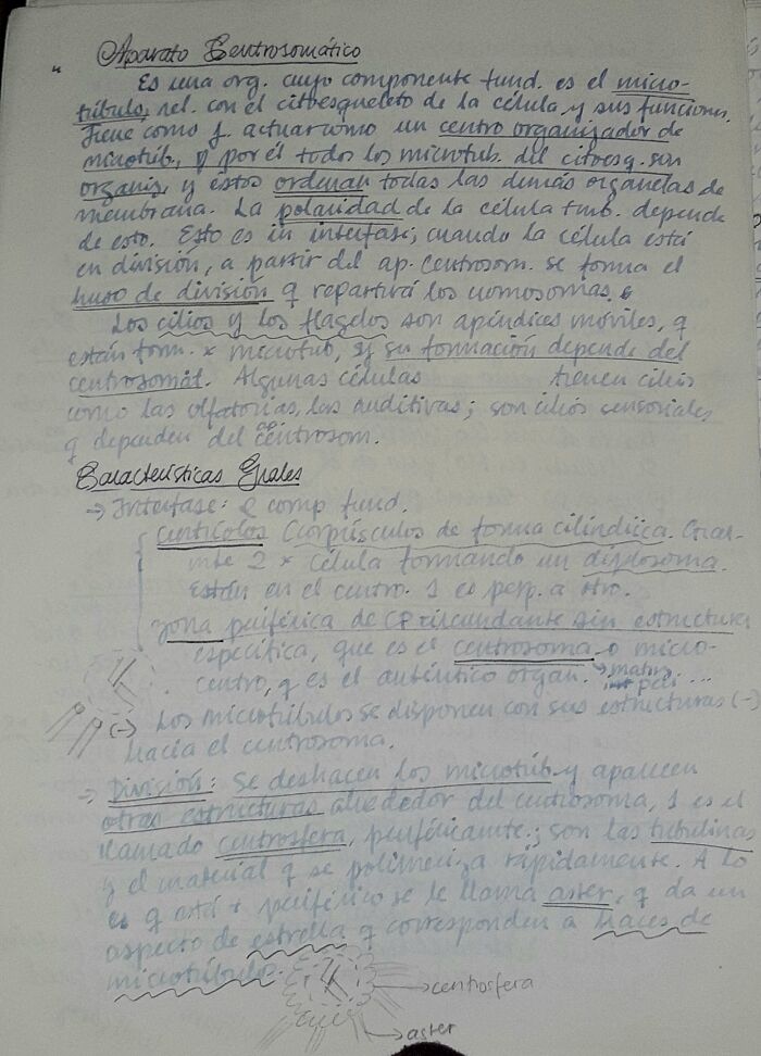 Class Notes When I Started Med School. Used Calligraphy Fountain Pen Daily.