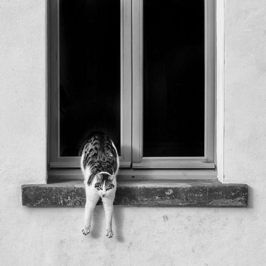 Ok, That’s A First: Stretching?