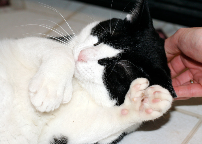 “Girls That Gave The ‘Nice Guy’ A Chance, How Did It Go?” (30 Stories)