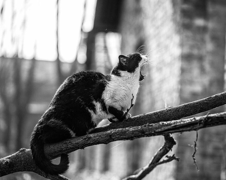 It’s Been A Long Hot Day