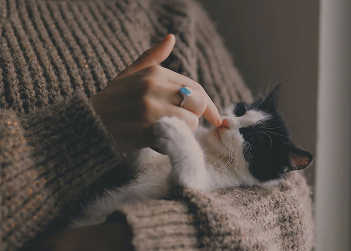 Women Are Sharing Their Favorite Life Hacks, And These 30 Can Make Every Day Much Easier