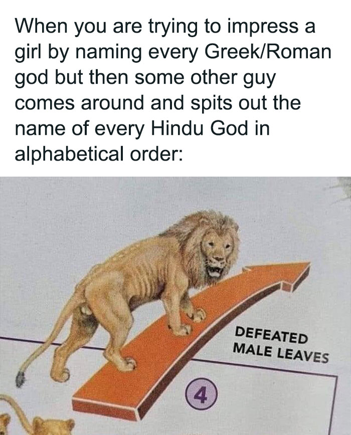 History meme showing a lion on a path with text about naming Greek, Roman, and Hindu gods in a funny context.