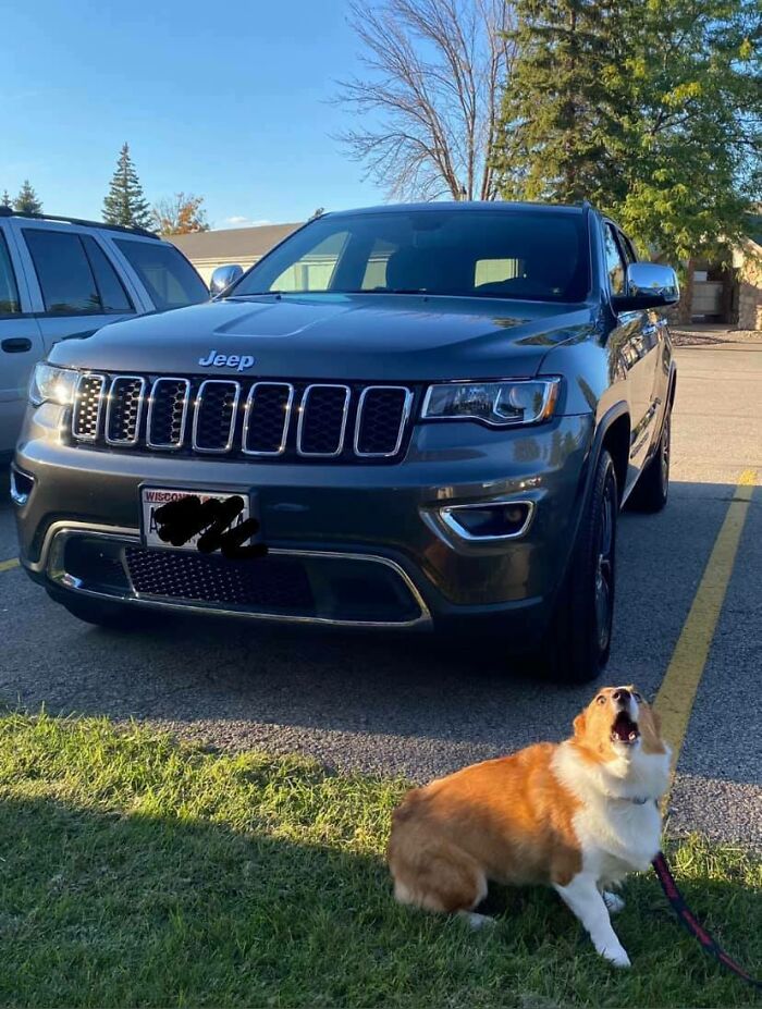 ¡¡Cómo te atreves a comprar un coche nuevo con asientos de cuero, mamá y papá!! ¡Ahora me resbalaré y me deslizaré por todas partes!