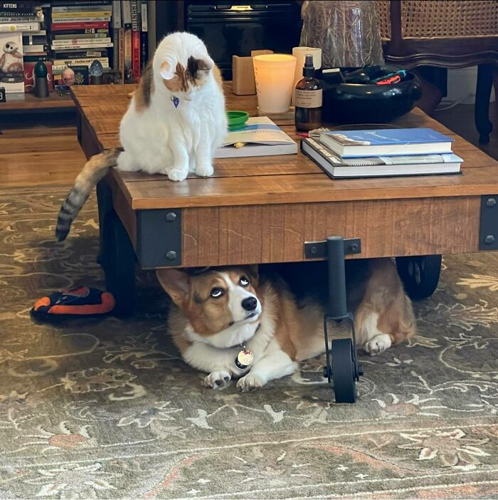 When You Realize Your Nemesis Has Gained High Ground And It Most Likely Bodes Ill For You