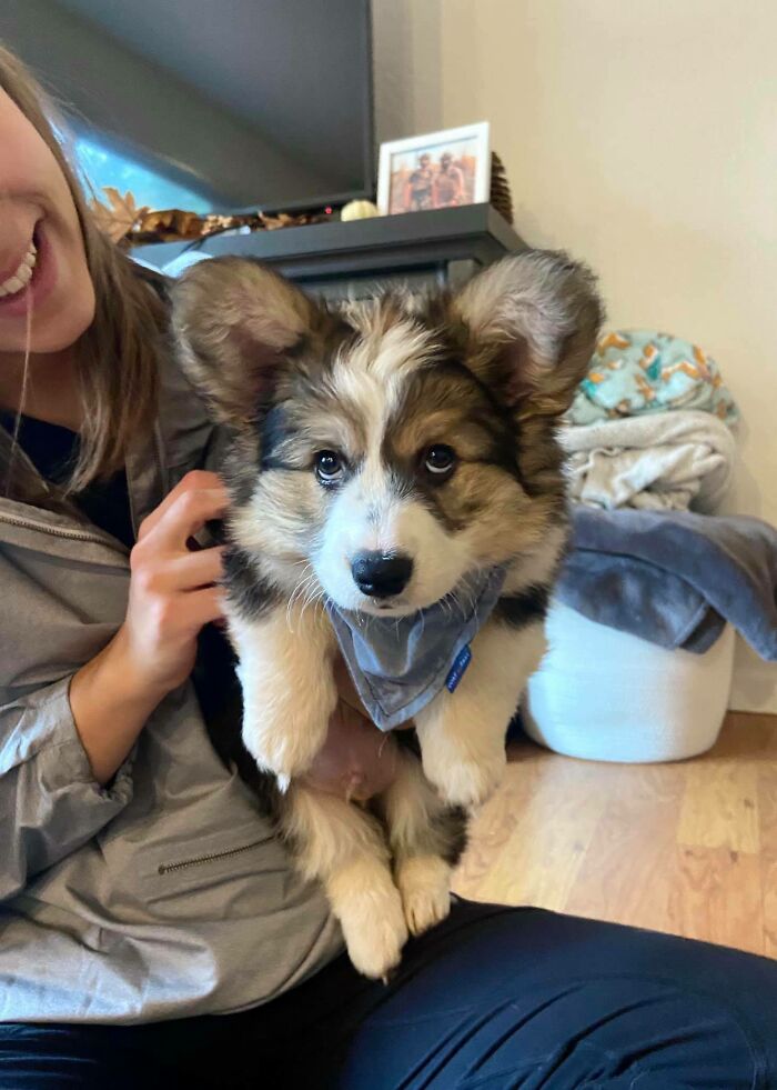 Oslo desaprueba que mamá juegue a los disfraces con su nueva bandana