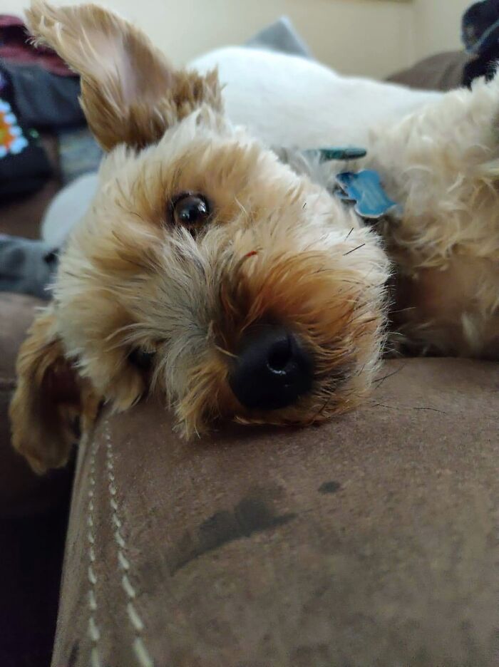 I Heard The Bag Open