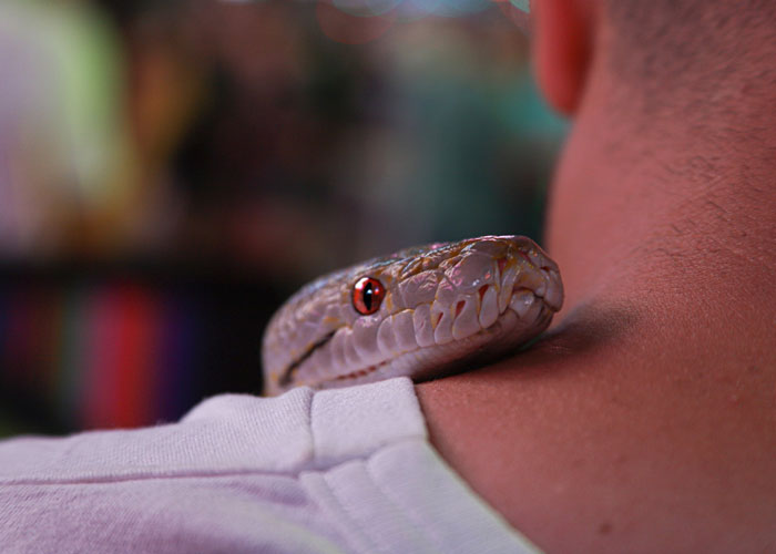 911 Operators Share The Dumbest Non-Emergency Calls They've Ever Received