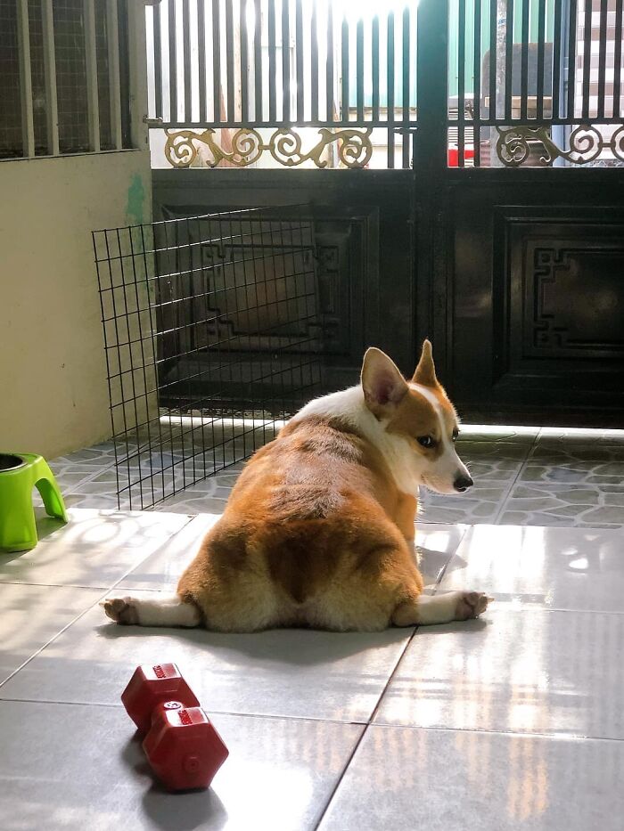 Happy desaprueba que le tomen una foto del trasero