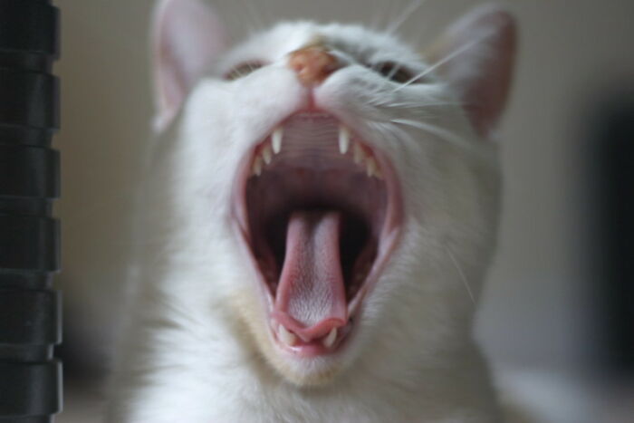 30 Social Cues Indicating That Someone Might Be Flirting With You, As Pointed Out By Folks In This Online Group