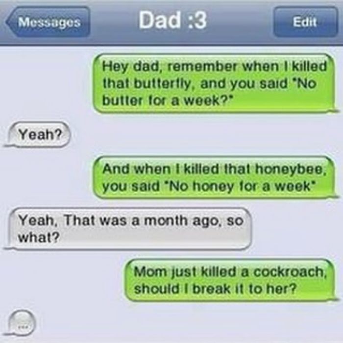 Funny text message conversation with dad about a butterfly, honeybee, and a cockroach.