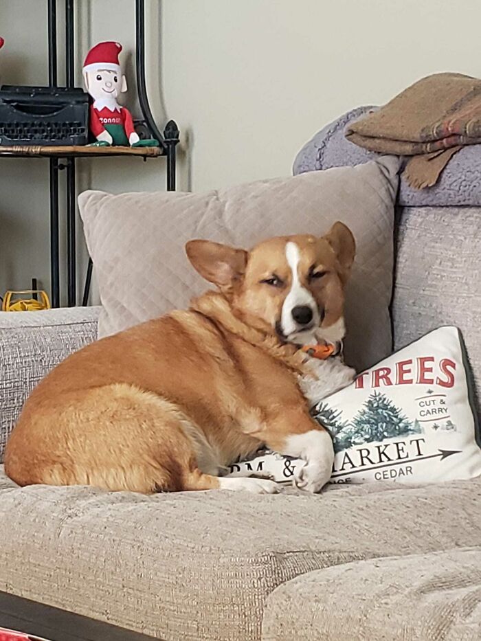 Bentley desaprueba las fotos en general