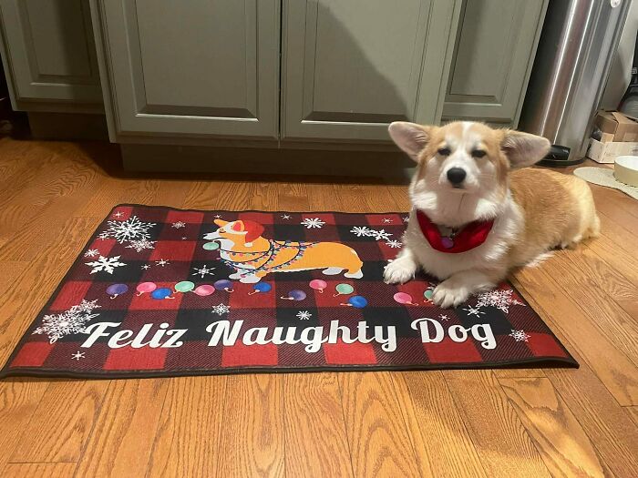 Maggie desaprueba fuertemente la elección de regalos de su tía...