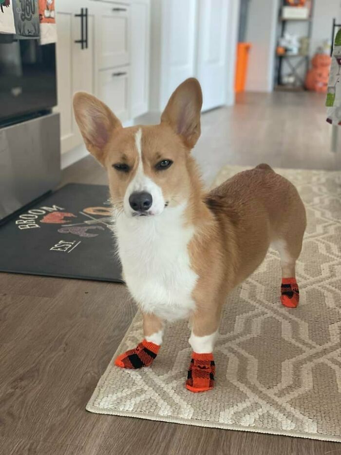 Ella desaprueba totalmente los calcetines de invierno