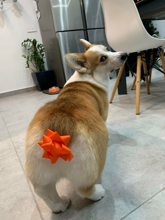 La mirada de desaprobación