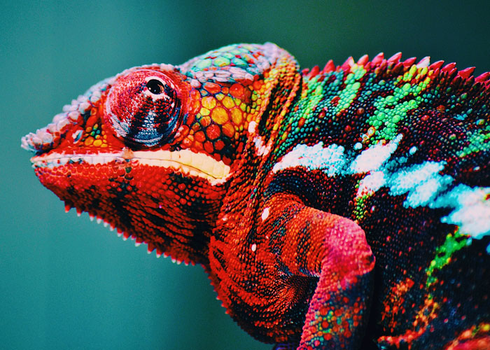 'What Is A Scientific Fact That Absolutely Blows Your Mind?': People Share 35 Incredible Facts About Our World