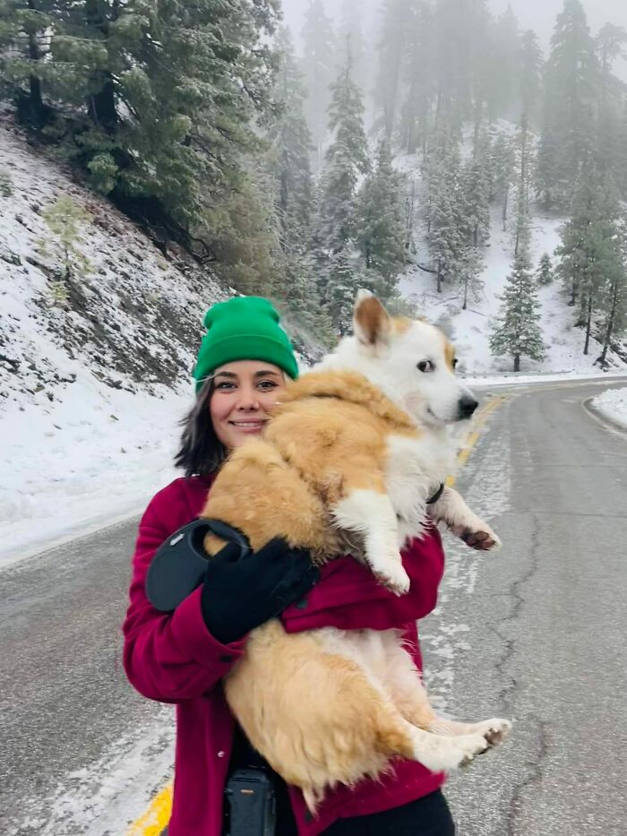 Baz Disapproves Of Being Carried In The Snow Despite Being Exhausted
