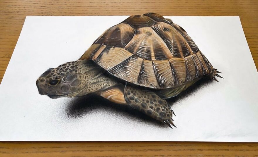 Japanese Artist Impresses With His 3D Drawings Using Only Colored Pencils (34 Pics)