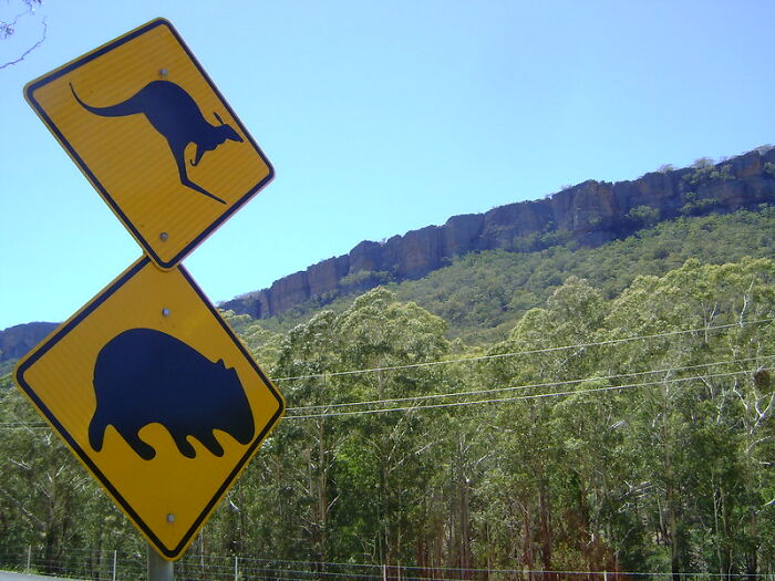 Someone Online Wondered: “What’s A Random Fact You Think Is Worth Sharing?“, And 30 Users Delivered