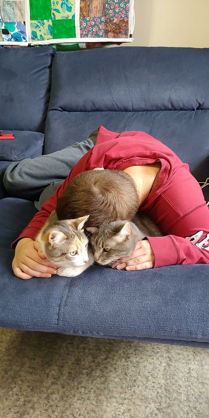 Me With My 2 Cats, Momo And Appa.