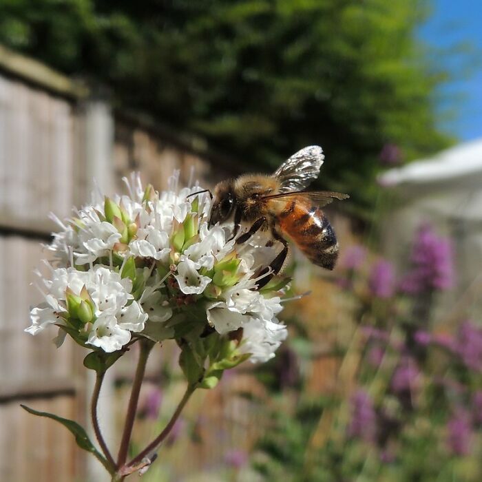 Someone Online Wondered: “What’s A Random Fact You Think Is Worth Sharing?“, And 30 Users Delivered