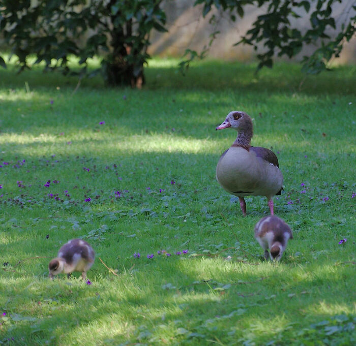 30 Important But Hard-To-Swallow Life Truths, As Shared By Women In This Online Group