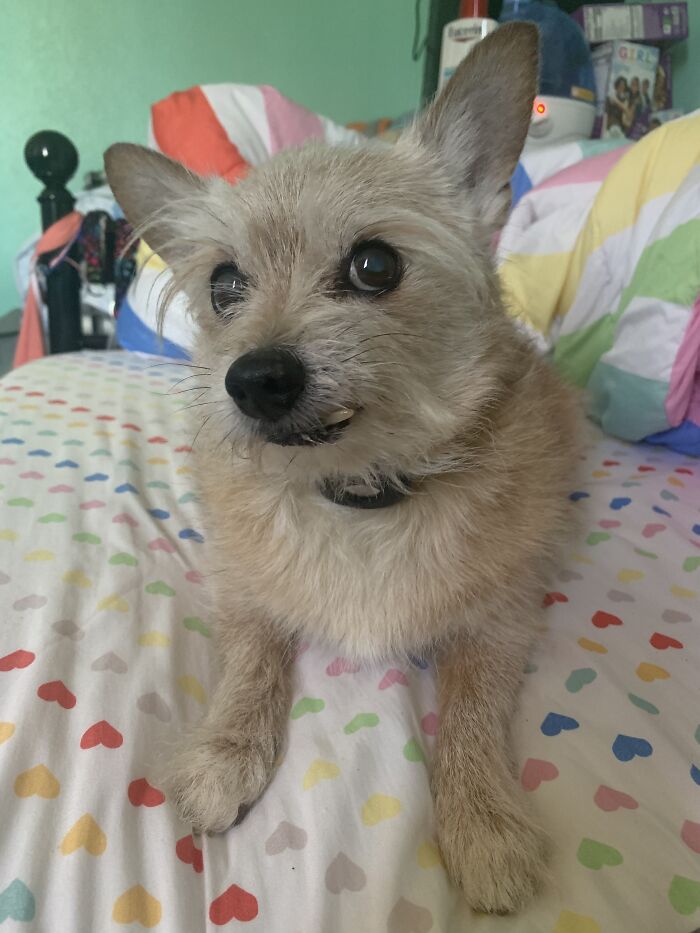 Is That What I Think It Is?