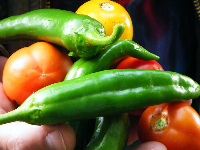 People Didn't Realize How Helpful These 30 Cooking Tips And Tricks Were Until They Started Using Them