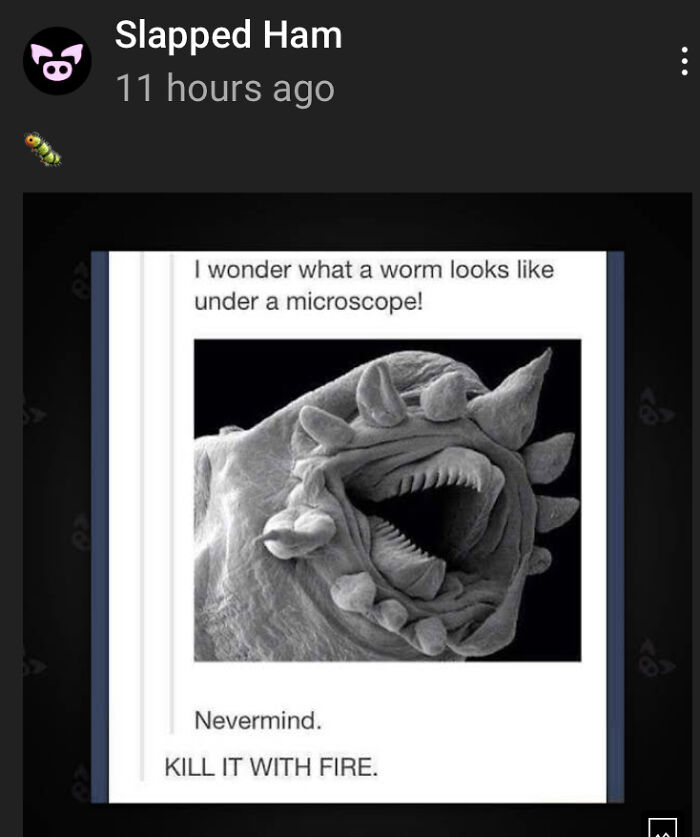 Real Close Up Of A Worm