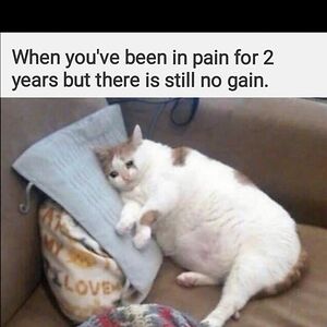 baileynandory avatar