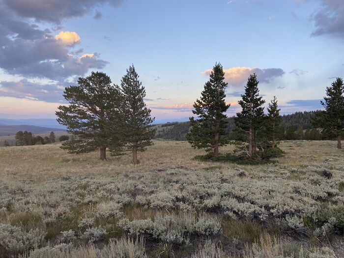 Eastern Sierras, California Nearing Sunset