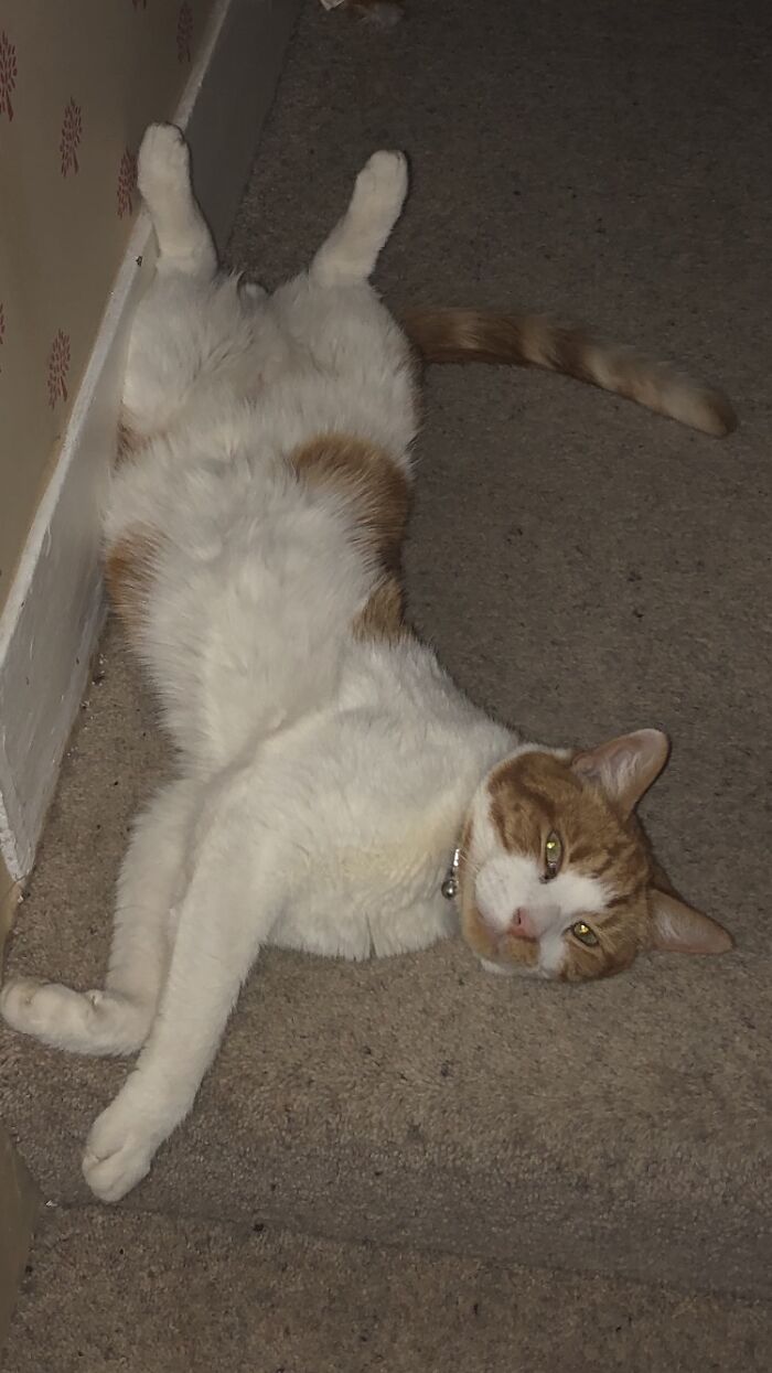 Lucky Handsome Boy😜