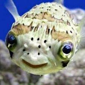 michaeltaylor_4 avatar