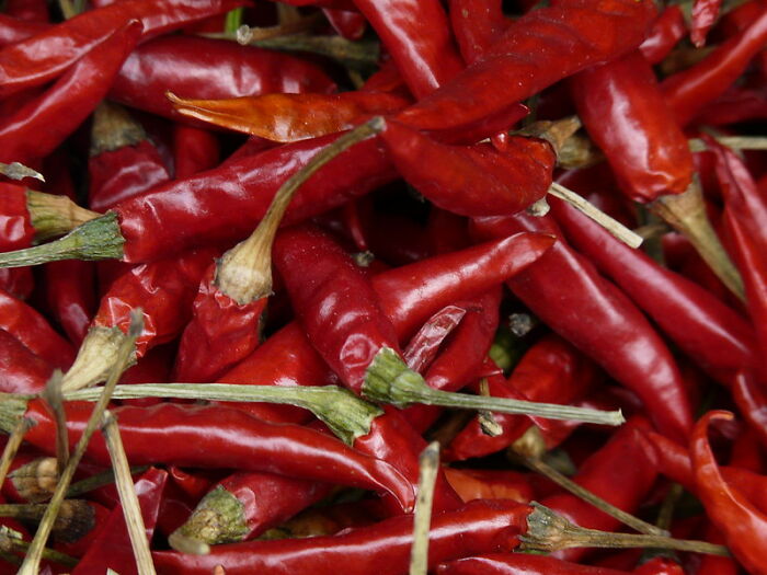 30 "American" Kitchen Essentials People Wish They Could Find Overseas