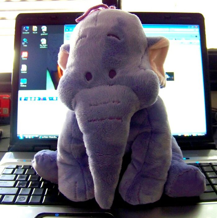 Folks In This Online Group Shared 30 Stories Of Kids Showing Signs They Might Have Lived A Life Before Their Current One