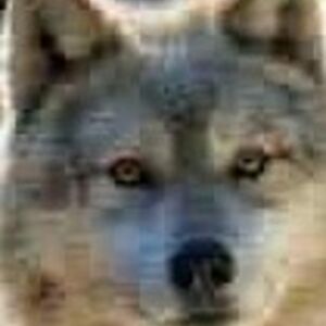 debrinablackmoon_1 avatar